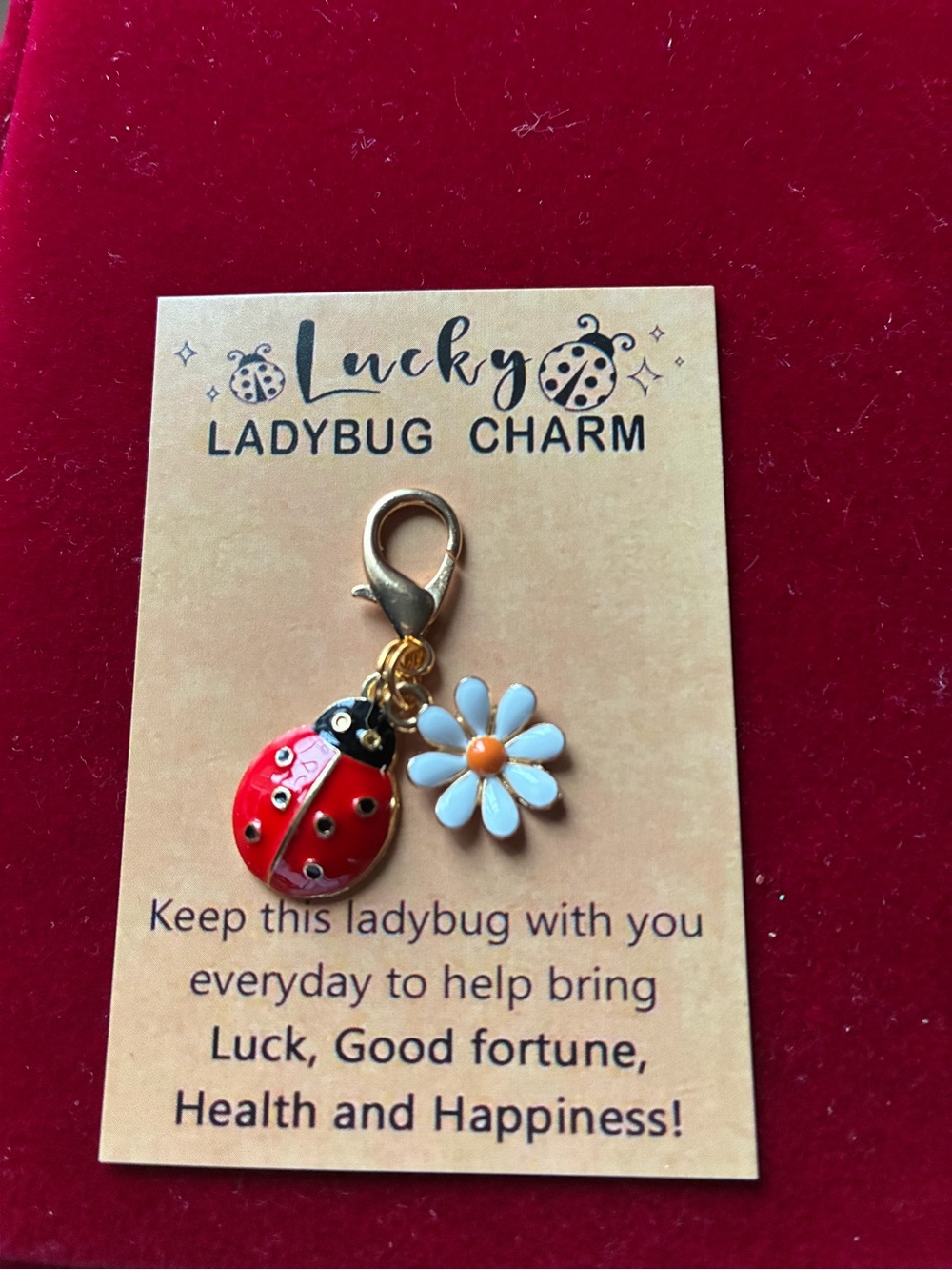 Lucky Ladybug Charm Keychain with White Daisy - Kids Accessories